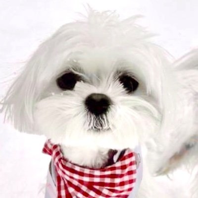 lovedrunkdream's profile picture