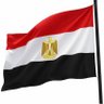 مصريه 的头像