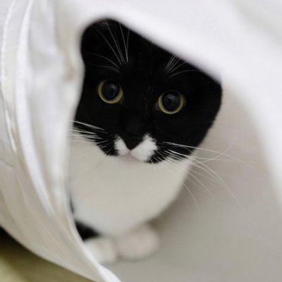walprmzwkaskh's profile picture