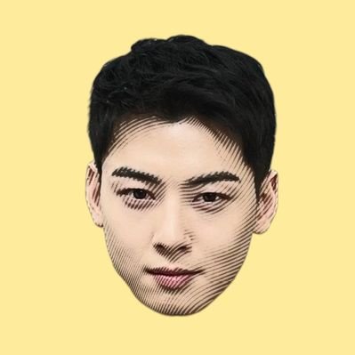 aniaroha_'s profile picture