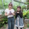 アベシ〜 profil fotoğrafı