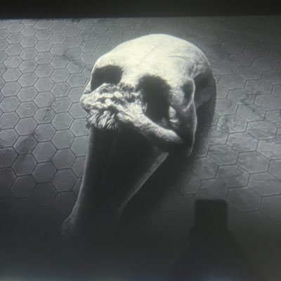 TeguaTitulado's profile picture