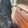 HARIO profil fotoğrafı