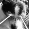 JackTzu profil fotoğrafı