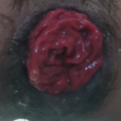 judouluoAsss12's profile picture