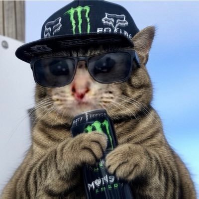 JUSTcatmeme's profile picture