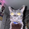 Carson 092's profile picture