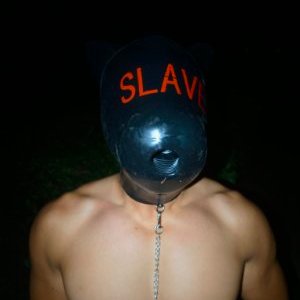jinrougongju's profile picture