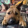 Beth Velez profil fotoğrafı