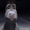 AIALI's profile picture