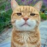 Profilbild von hendro