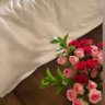 Profilbild von أمـل🌷✨.