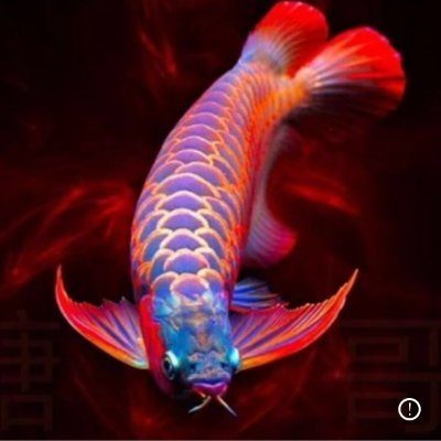 Iwinseas's profile picture
