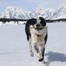 Marty B profil fotoğrafı