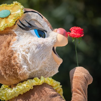 Eldream's profile picture
