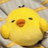 polo xuan's profile picture