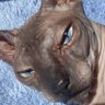 Мягкий's profile picture