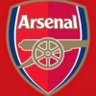 The Realistic Gooner profil fotoğrafı