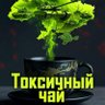 Фото профиля Токсичный Чай ☕