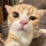 truth's profile picture