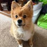Nikki 的头像
