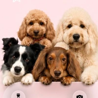 sckm27's profile picture
