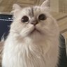 Rai's profile picture