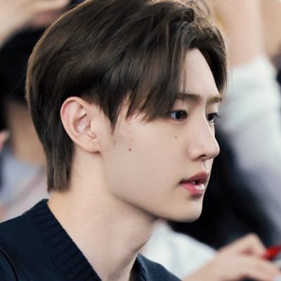 Sunghoonie's profile picture