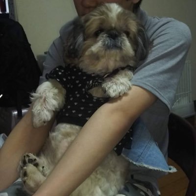 kaseoreo's profile picture