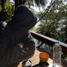 Дмитрий Иванов's profile picture
