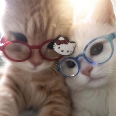 iluvzinoo's profile picture