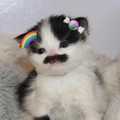 🤗MyTY🥰 GNJ🌷🐰 🧚🏻♂️🦈 ĶeëpČöõł🐒🦙's profile picture