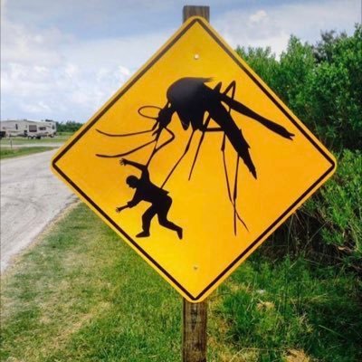 Beto's profile picture