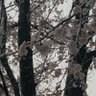 イ以子 的头像
