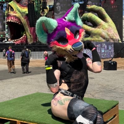 FoxofFlowers's profile picture
