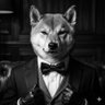 50 Shades of Memes's profile picture