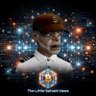 The Little Satoshi News profil fotoğrafı