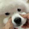 ปุ๋งท์ 🪷's profile picture