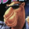 sunder's profile picture