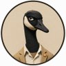 🟠 Goose 的头像