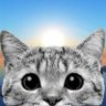 Profilbild von NEWS JUST IN... 369