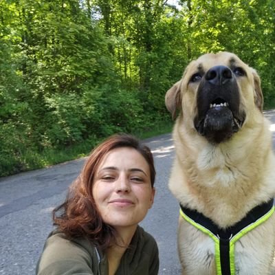 Ayten ✹ Mîro's profile picture
