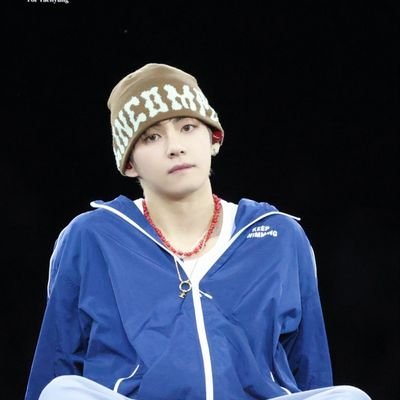 Ⓥ 뷔뷔뷕🐯's profile picture