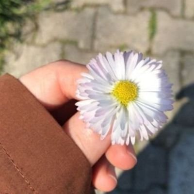 𝙎𝙖𝙠𝙞𝙣𝙖 𝙏𝙖𝙦𝙫𝙞's profile picture