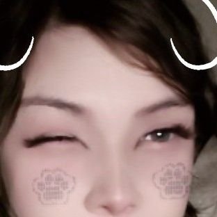 dummibunn's profile picture
