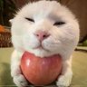 fghjj's profile picture