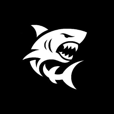 OceanwaveStudio's profile picture