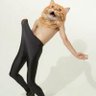 しゃけさん@ワンオクZOZOマリン大余韻's profile picture