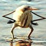 4444A profil fotoğrafı