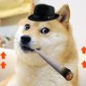TheDogeIsNoticing 的头像